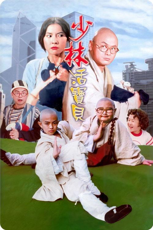 少林活宝贝演员表,揭秘演员阵容，众星云集演绎传奇故事